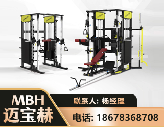 商洛多功能综合训练器