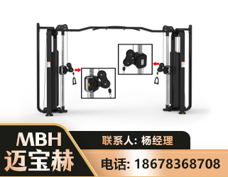 商洛大飞鸟训练器